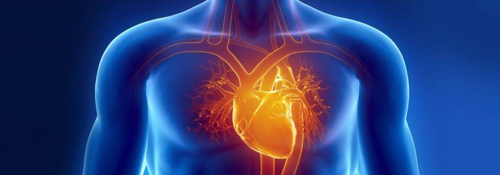 بیماری های قلبی - عروقی در سایت دکتر حمید رضا صنعتی فوق تخصص قلب
