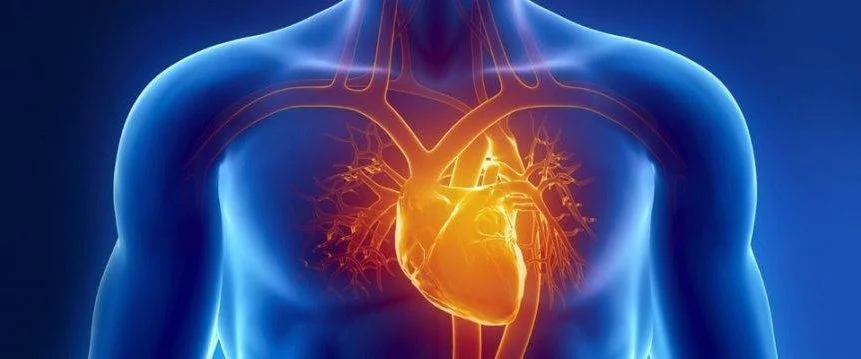 بیماری های قلبی - عروقی در سایت دکتر حمید رضا صنعتی فوق تخصص قلب