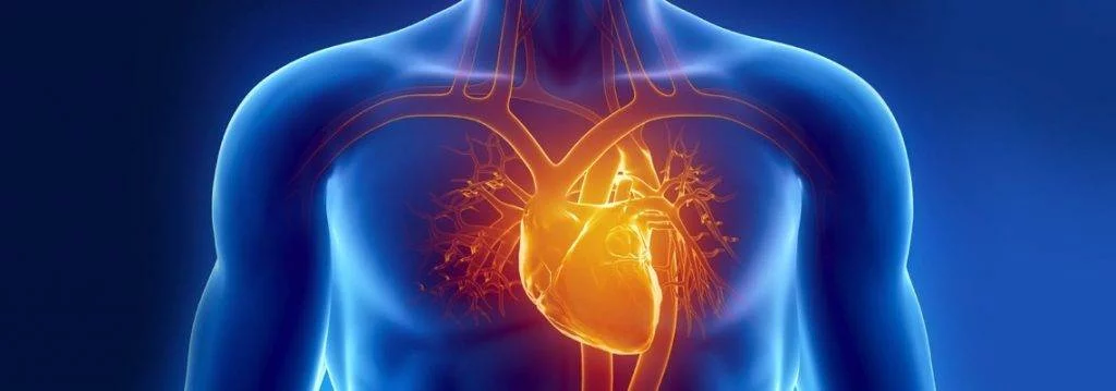بیماری های قلبی - عروقی در سایت دکتر حمید رضا صنعتی فوق تخصص قلب