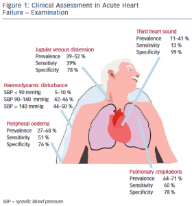 figure1-Acute-Heart-Failure